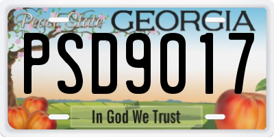 GA license plate PSD9017