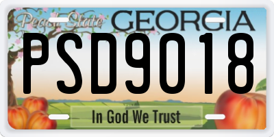 GA license plate PSD9018