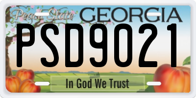 GA license plate PSD9021