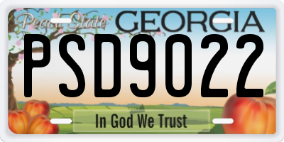GA license plate PSD9022
