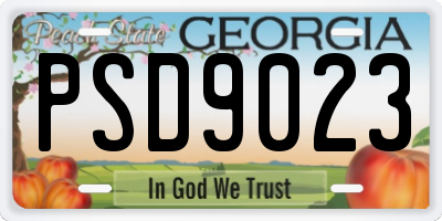 GA license plate PSD9023