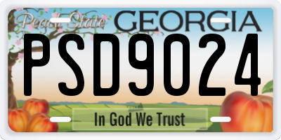 GA license plate PSD9024