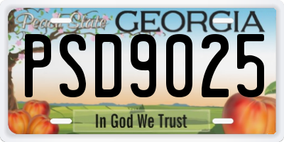 GA license plate PSD9025