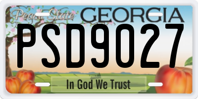 GA license plate PSD9027
