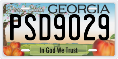 GA license plate PSD9029