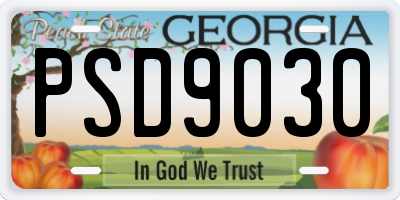GA license plate PSD9030