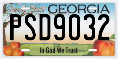 GA license plate PSD9032