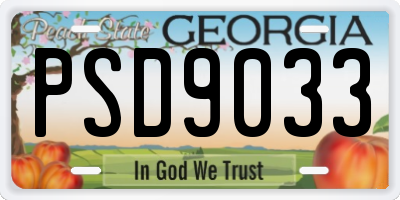 GA license plate PSD9033