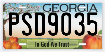 GA license plate PSD9035