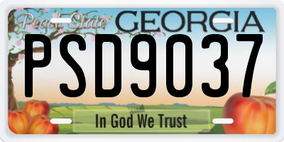 GA license plate PSD9037