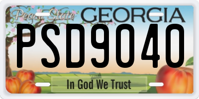 GA license plate PSD9040