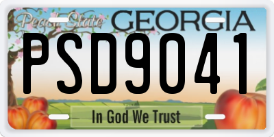 GA license plate PSD9041