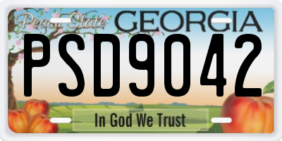GA license plate PSD9042