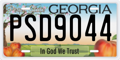GA license plate PSD9044