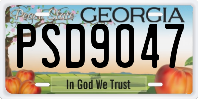 GA license plate PSD9047