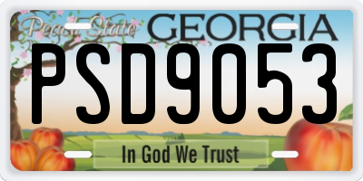 GA license plate PSD9053