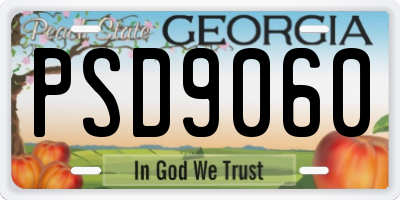 GA license plate PSD9060