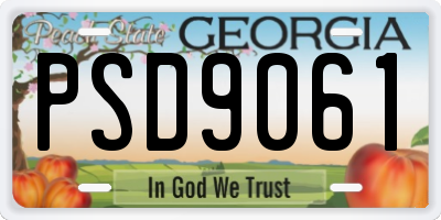 GA license plate PSD9061