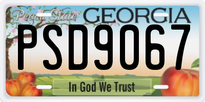 GA license plate PSD9067