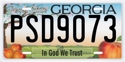 GA license plate PSD9073