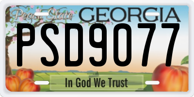 GA license plate PSD9077