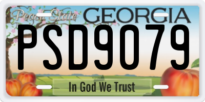 GA license plate PSD9079