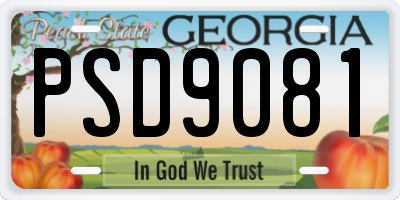 GA license plate PSD9081