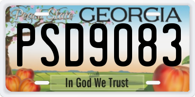 GA license plate PSD9083