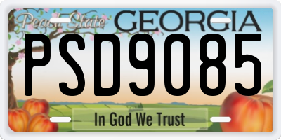 GA license plate PSD9085