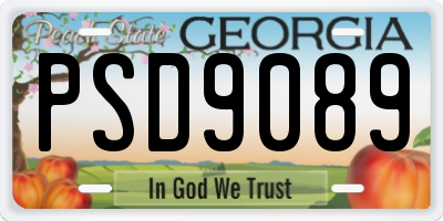 GA license plate PSD9089