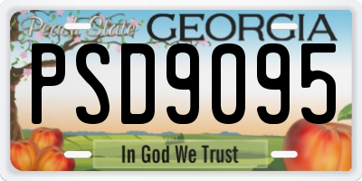 GA license plate PSD9095