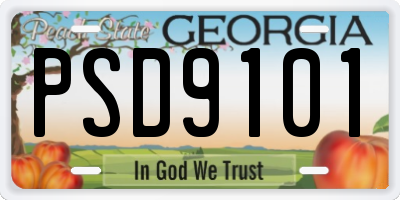 GA license plate PSD9101