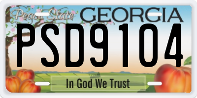 GA license plate PSD9104