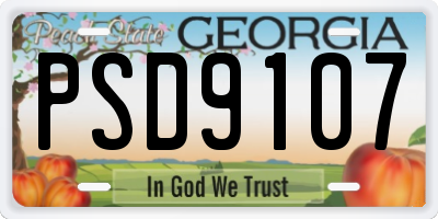 GA license plate PSD9107