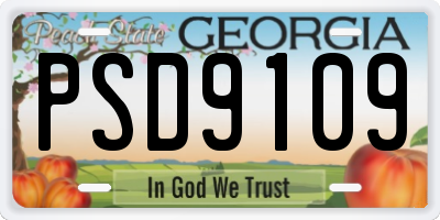 GA license plate PSD9109