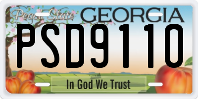 GA license plate PSD9110