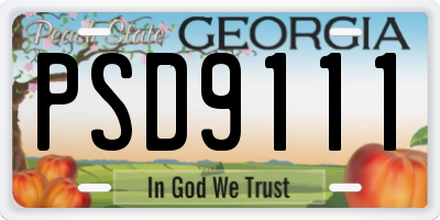 GA license plate PSD9111