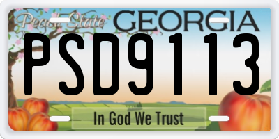 GA license plate PSD9113