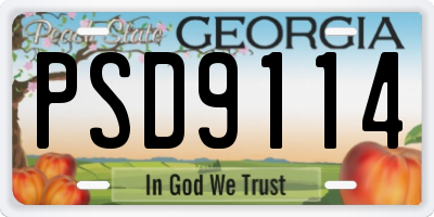 GA license plate PSD9114