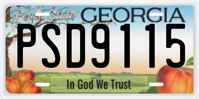 GA license plate PSD9115
