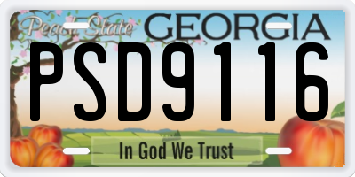 GA license plate PSD9116