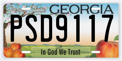 GA license plate PSD9117