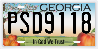 GA license plate PSD9118
