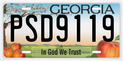GA license plate PSD9119