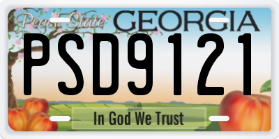 GA license plate PSD9121