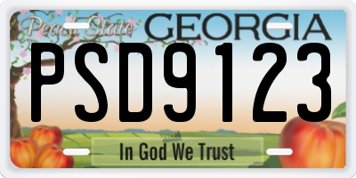GA license plate PSD9123