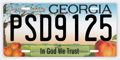 GA license plate PSD9125