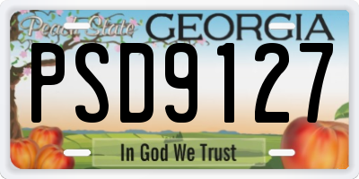GA license plate PSD9127