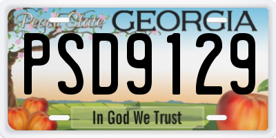 GA license plate PSD9129