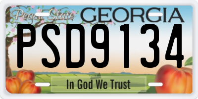GA license plate PSD9134
